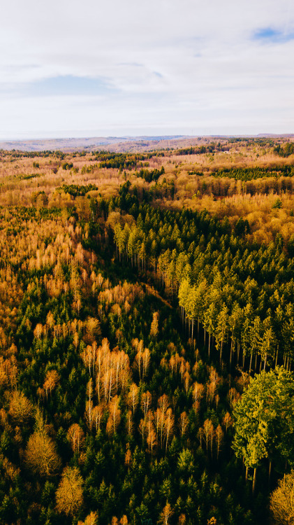 Göppingen,GermanyPhoto: https://www.instagram.com/m.n._mihography/