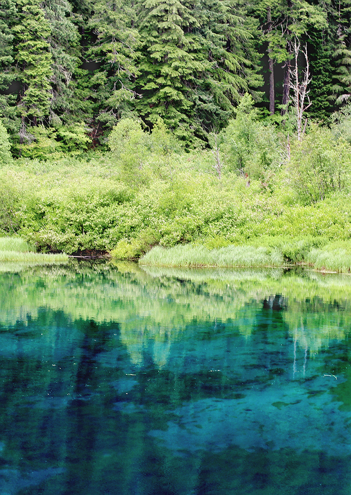 bright-witch:    ◈ The Wellspring, photography by Michelle N.W. ◈ ◈ Print Shop