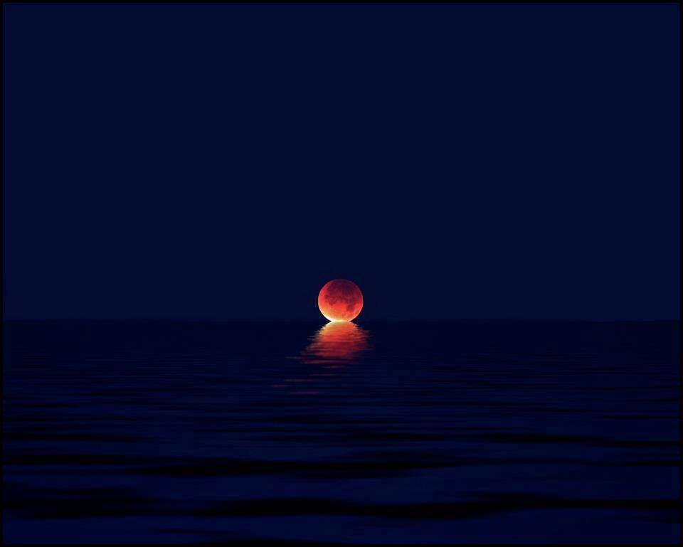 artnet:  Photography lovers, see 9 beautiful photos of Sunday’s incredible supermoon. 