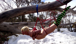 vikavonschlitz:  thesalonbrisbane:  Cold Bunny! Can you tell we like to rope bomb?! Rope: Lucero Model: Nix  happy bondage