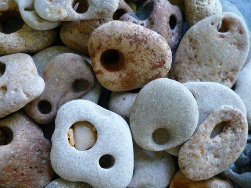 fuckyeahpaganism:Hag stones, also known as Holey Stones or Witch Stones, are stones that have a natu