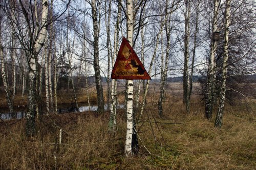 lesnienka: Chernobyl exclusion zone