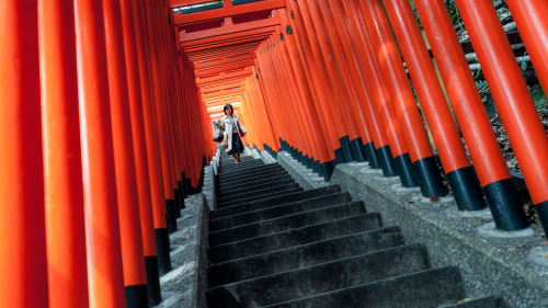 lkazphoto:Hie Shrine, Akasaka （赤坂）