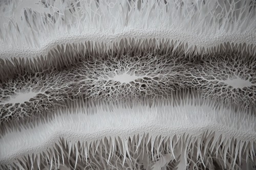 And the last one//Rogan Brown//Paper Sculptures.Look at the amazing eye for details