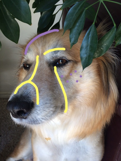 paintypal: art dog!! (never gets old)