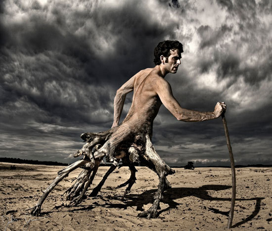 photoaffiliates:  The Roots of Mankind