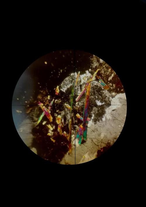 gloomywormwood:My petrography course is over.