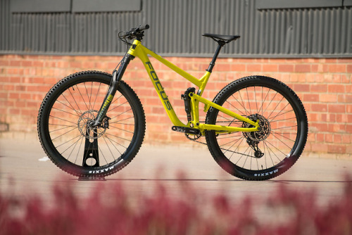 aces5050:(via Focus 2019 Range Highlights Video - Flow Mountain Bike - Flow Mountain Bike)