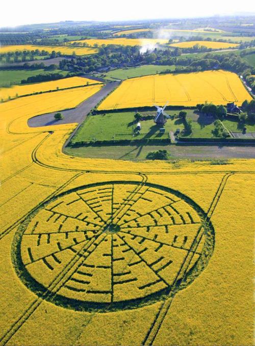 vraieronique:L’ Art, aussi, est dans le pré ..!