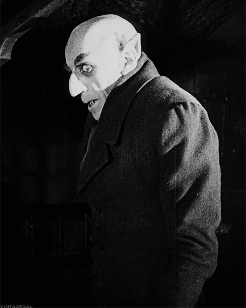 JJ VLADIMIR
