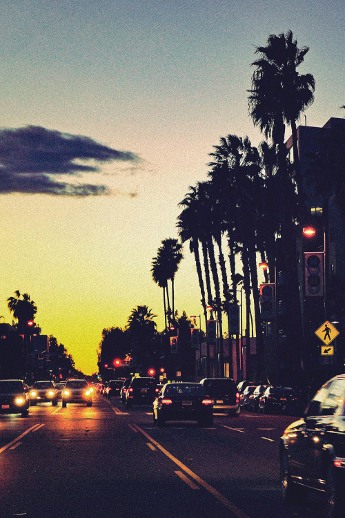 motivationsforlife:  Sunset in Noho Arts District by @djmurdokphotography // MFL Go follow @djmurdokphotography for more!
