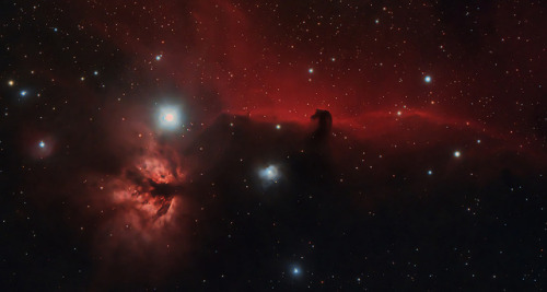 astronomyblog:NGC 6960 (Western Veil nebula) &Horsehead Nebula and the Flame NebulabyDavid Wills