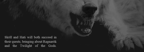 herowyn:hynpos’ 2 week myth event  day six: favorite norse myth creature↳ Warg