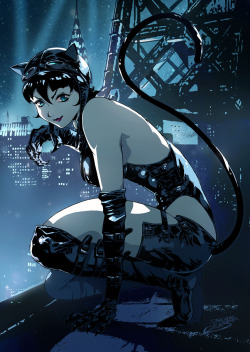 imthenic:  Ame-comi Catwoman by SANTI-IKARI 