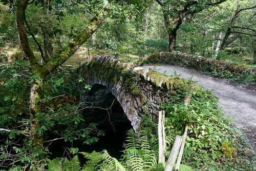 pagewoman:Glen Finglas,Trossachs, Stirlingshire, Scotlandvia walk highlands