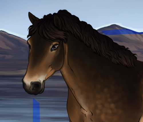 Commission for the lovely twelfthofnovember! Her beautiful Exmoor pony is called Mull, which is
