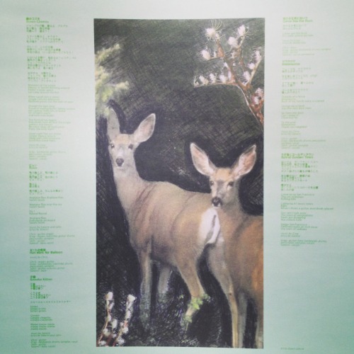 vinylkilledthemp3:  Deerhoof - Green Cosmos 