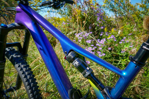 aces5050: (via Just In: Specialized Stumpjumper Comp Carbon 12 speed LT 29er - Bikerumor)