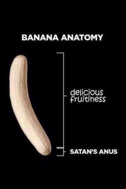 banana anatomy… XOXO ~ Follow me on