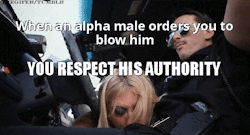 Alpha / Beta