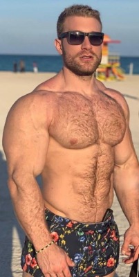 Hairy Hunky Men