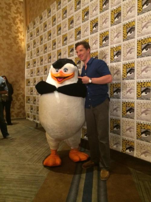 cumberbum: #BenedictCumberbatch w/ the big star of #PenguinsOfMadagascar #SDCC @accesshollywood [x] 