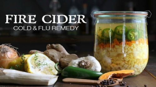 FIRE CIDER RECIPE: KICKASS NATURAL COLD AND FLU REMEDY