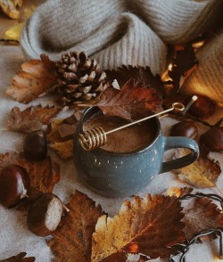 witchyautumns:  🍁  ✨  och.life     