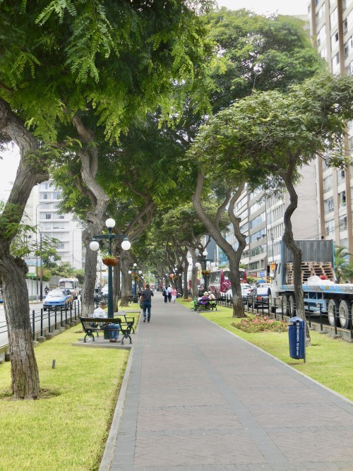 Avenida, Miraflores, Lima, 2017.