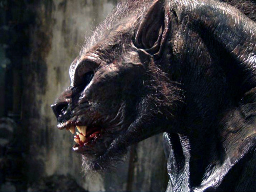A side profile of one of the Lycans from Underworld. #WerewolfWednesday