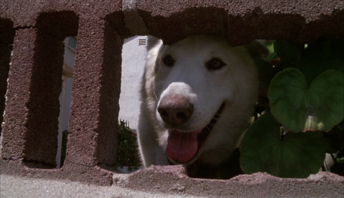 365filmsbyauroranocte