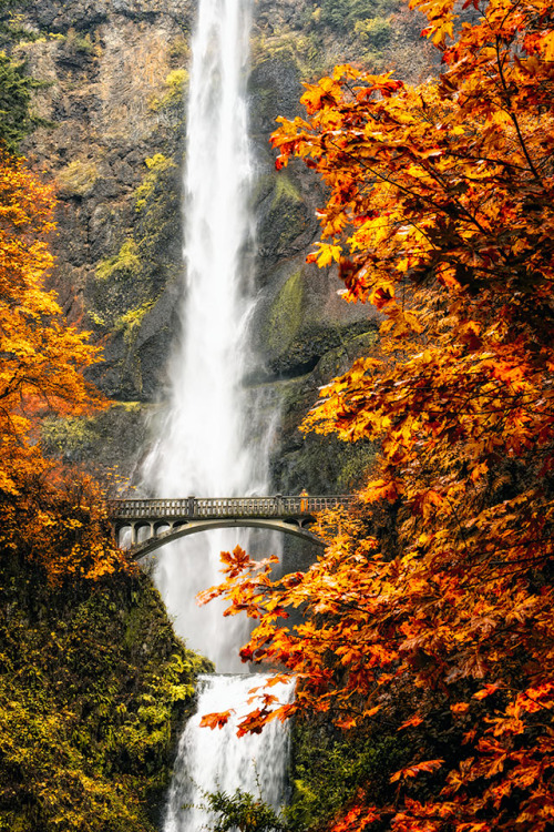 Sex 7000stars:  On the Multnomah (by Nader B.) pictures