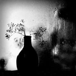 neverendinghorror:  Sunday Poetryby Polalatech ☣ more edits here ☣ 