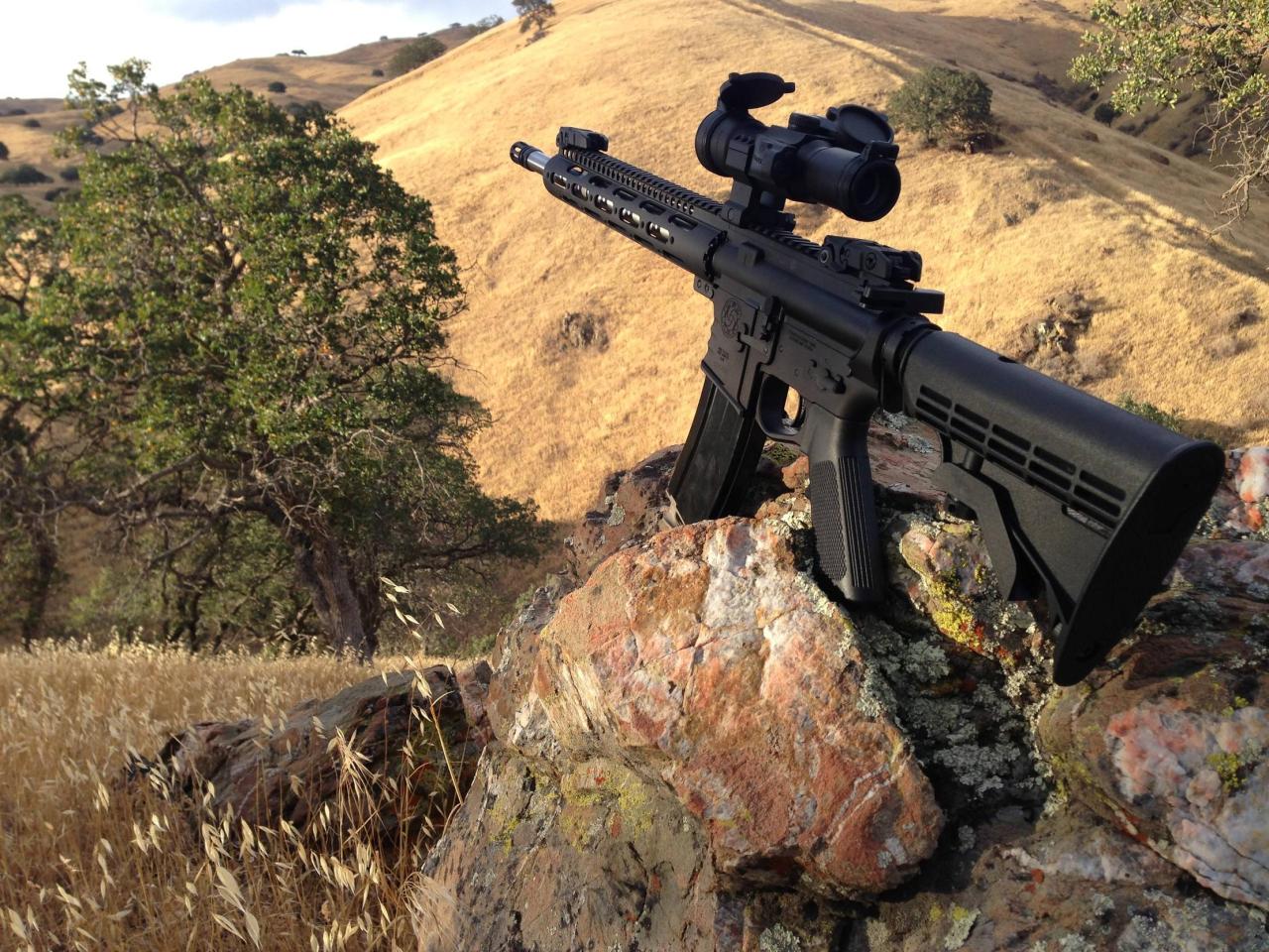 gunrunnerhell:  &ldquo;Where liberty dwells, there is my country.&rdquo;