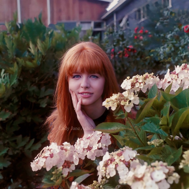 Beautiful Jane Asher pictured for a publicity photo by ITV/Shutterstock for the upcoming Dream of the Summer Night, 