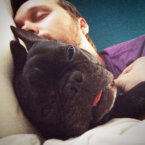 #kanyeandbianchi make getting out of bed so #passé
#frenchiebabydaddy #frenchbulldog #frenchie #instapet