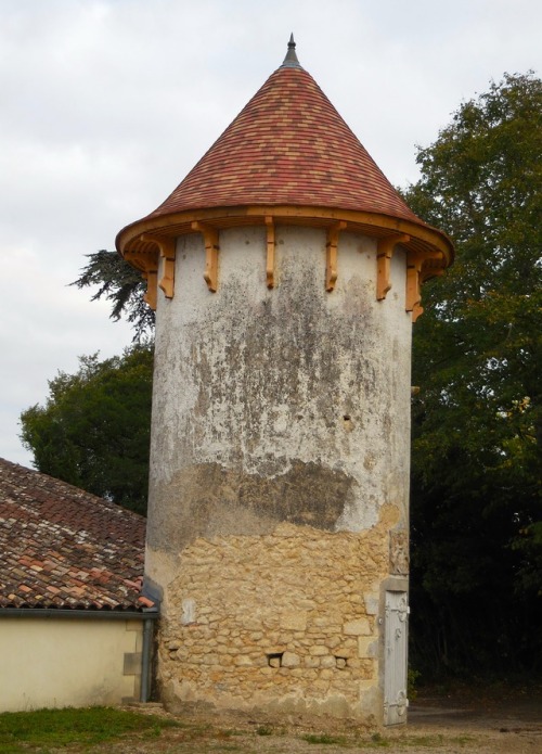 Tour, cave pour le vieillissement des vins, Sauternes, Gironde, 2017.