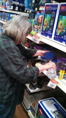 scalestails:   thebettablog:  19916mweor:  We were at Walmart today and there were betta fish in those stupid little cups. Well, three of them barely had any water. Their bodies weren’t even covered. So this is a photo of my very upset grandma opening