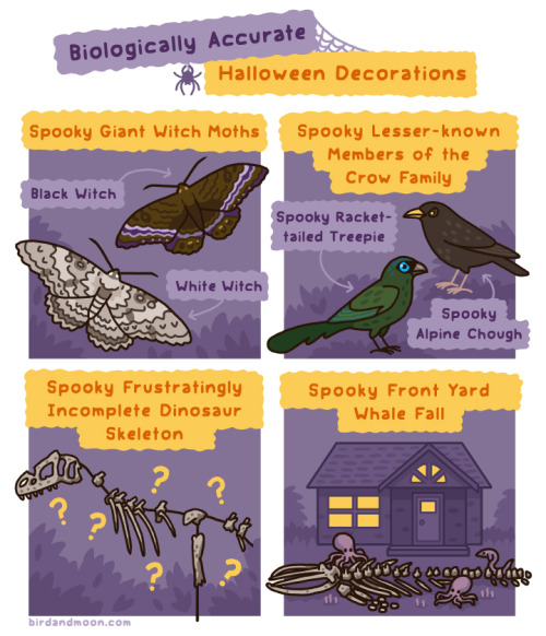 Biologically Accurate Halloween DecorationsYou can buy my book here.