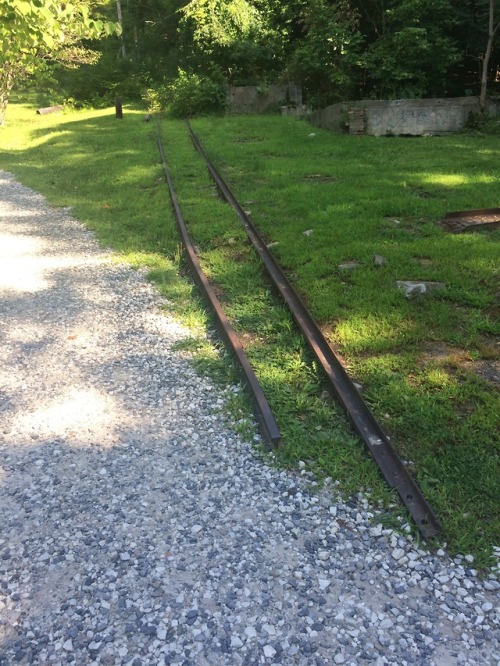 chavisory:Trains for @into-the-weeds. There used to be an inclined railroad up the mountain I climbe