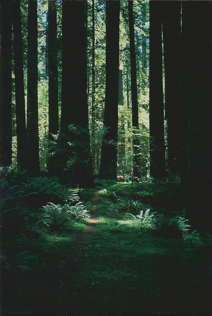 qyr:  by julie tingley 