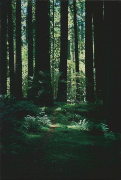 euphoricspirit:  julie ann tingley 