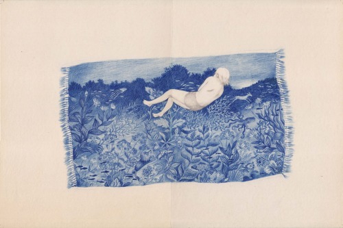mainlyillustrations:Joanna Concejo