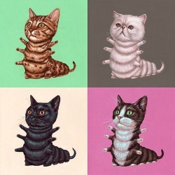betweenmirrors-com:“#Cat-erpiller”
