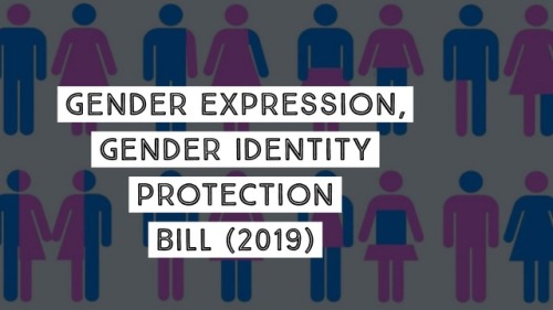 Newly passed Gender Expression, Gender Identity Protection Bill will amend the New York State’s Huma