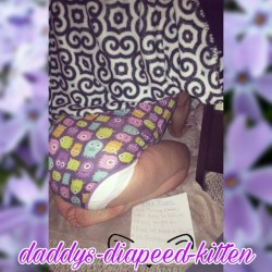 daddys-diapeed-kitten: Daddy let me build the biggest fort ever!!  