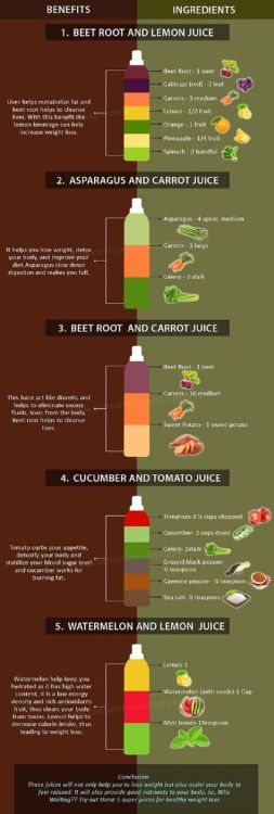 severelyfuturisticharmony:  Healthy Meal Prep Made Easy Mini Guide!   Professional Tai Chi Clothing 