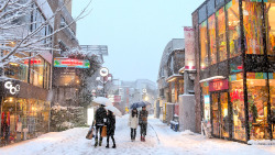 tokyo-fashion:  Harajuku in the snow over