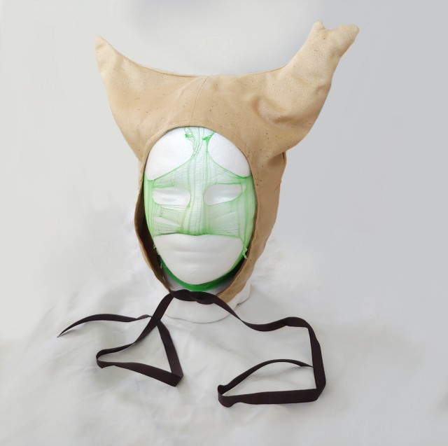 Custom korok hood