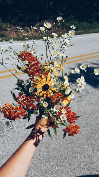 Side-of-the-highway bouquet